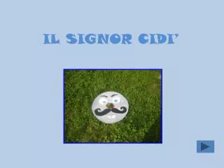 il signor cidi