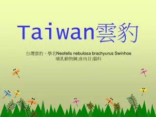 taiwan