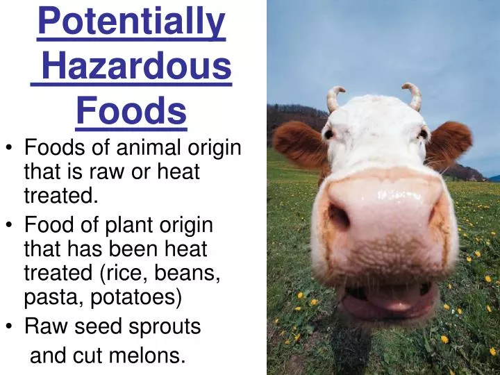 potentially hazardous foods