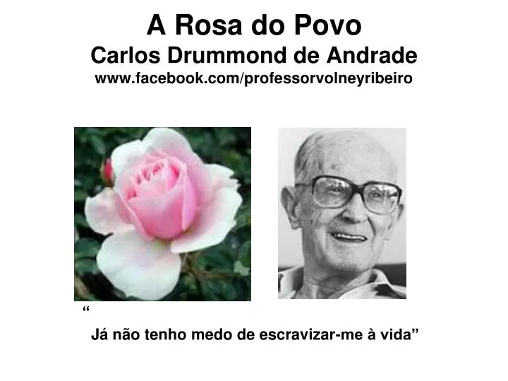 a rosa do povo carlos drummond de andrade www facebook com professorvolneyribeiro
