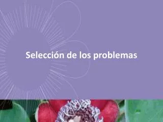 selecci n de los problemas