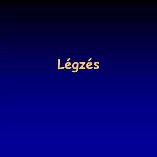 l gz s