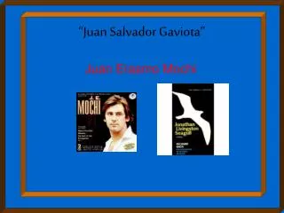 juan salvador gaviota