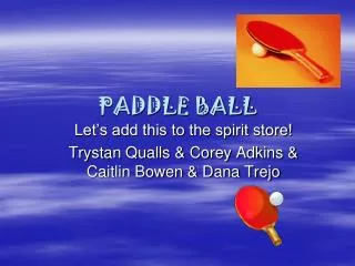 PADDLE BALL