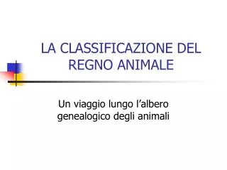 la classificazione del regno animale