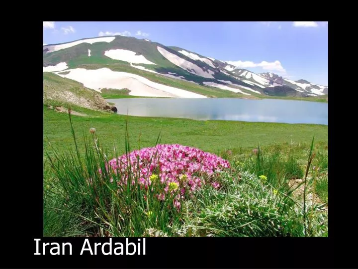 iran ardabil