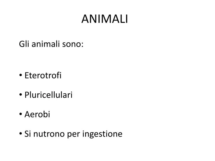 animali