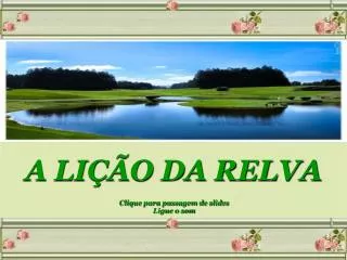 a li o da relva