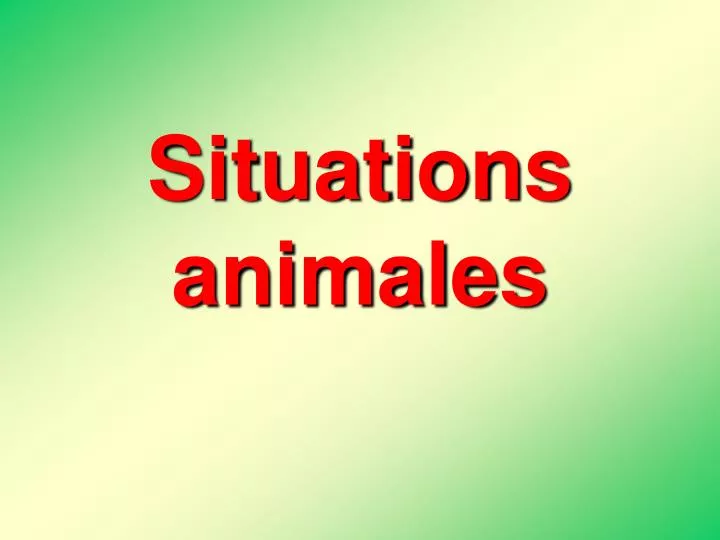 situations animales