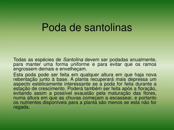 poda de santolinas