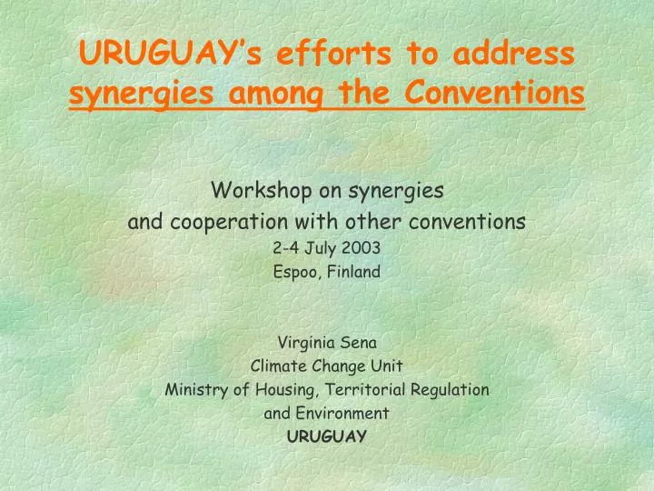 uruguay s efforts to address synergies among the conventions