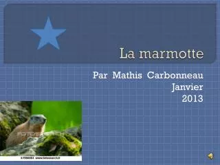 la marmotte