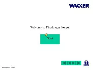 Welcome to Diaphragm Pumps