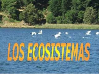 inicio