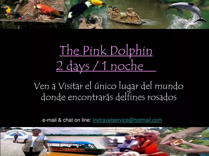 the pink dolphin 2 days 1 noche