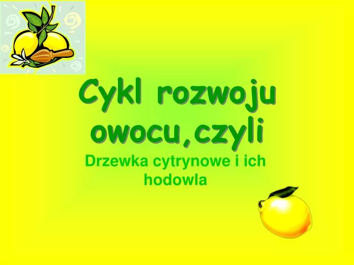 cykl rozwoju owocu czyli