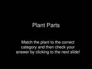 Plant Parts