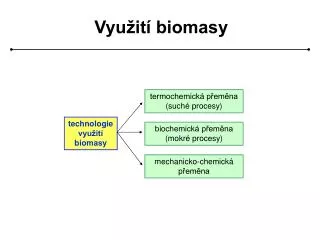 vyu it biomasy