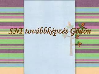 sni tov bbk pz s g d n