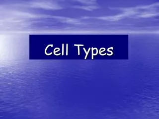 cell types