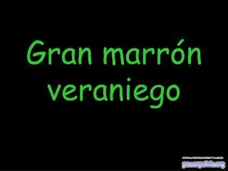 gran marr n veraniego