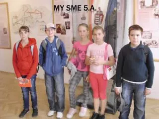 my sme 5 a