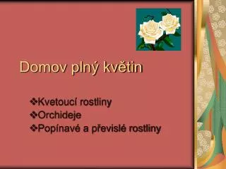 domov pln kv tin