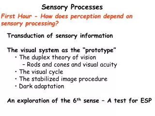 First Hour - How does perception depend on sensory processing?