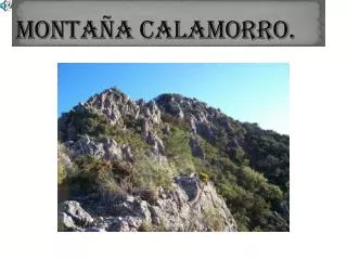monta a calamorro