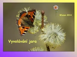 vyvol v n jara