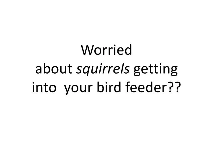 worried about squirrels getting into your bird feeder