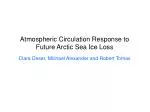 Atmospheric Circulation Response to Future Arctic Sea Ice Loss - slide 1