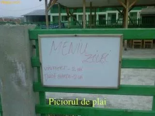 piciorul de plai