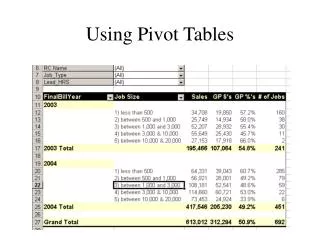 Using Pivot Tables
