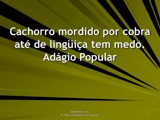 cachorro mordido por cobra at de ling i a tem medo ad gio popular