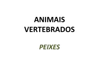 animais vertebrados