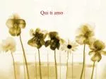 Qui ti amo - slide 1