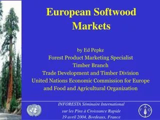 European Softwood Markets