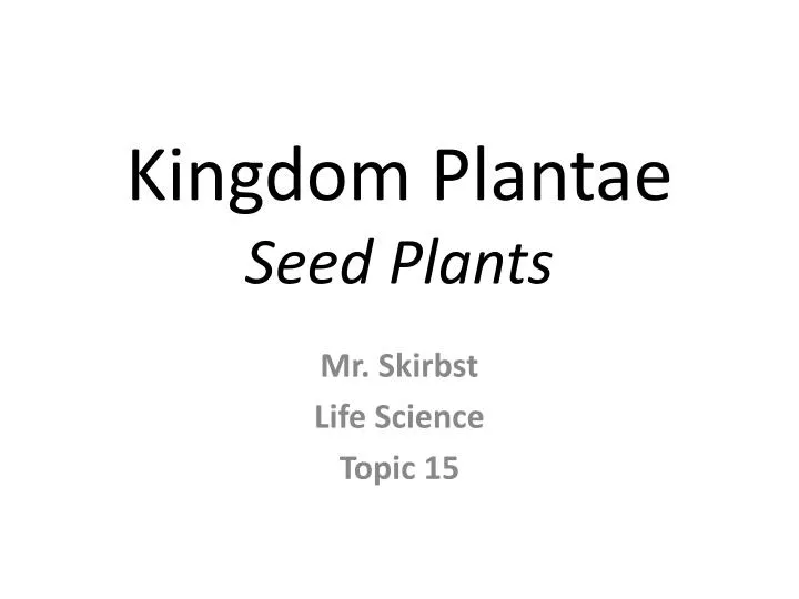 kingdom plantae seed plants