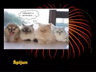 pijun