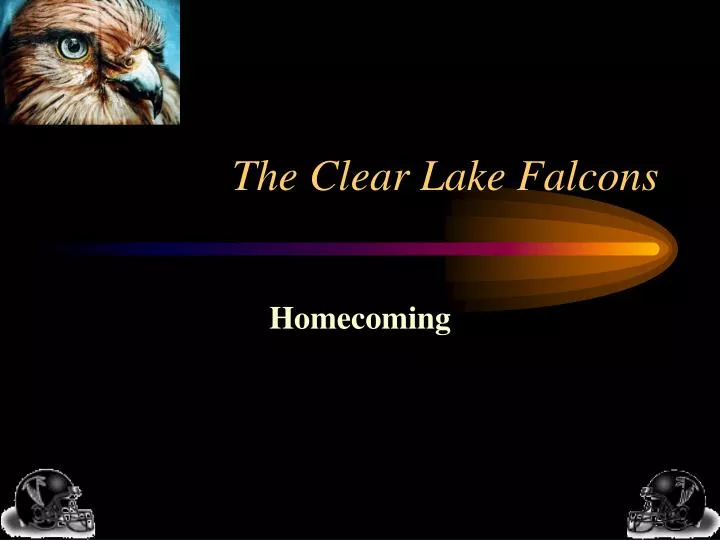 the clear lake falcons
