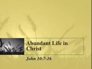 Abundant Life in Christ