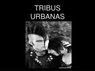 tribus urbanas