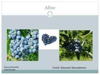afine