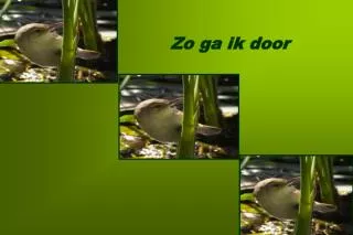 slide1