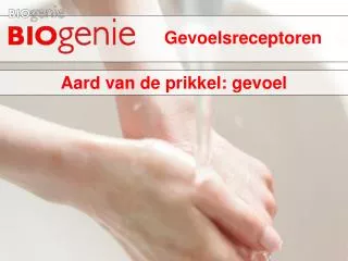 gevoelsreceptoren