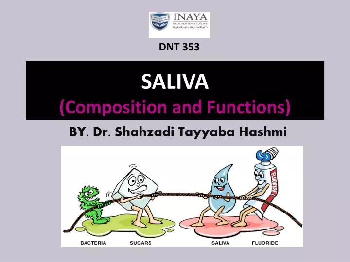 saliva composition and functions