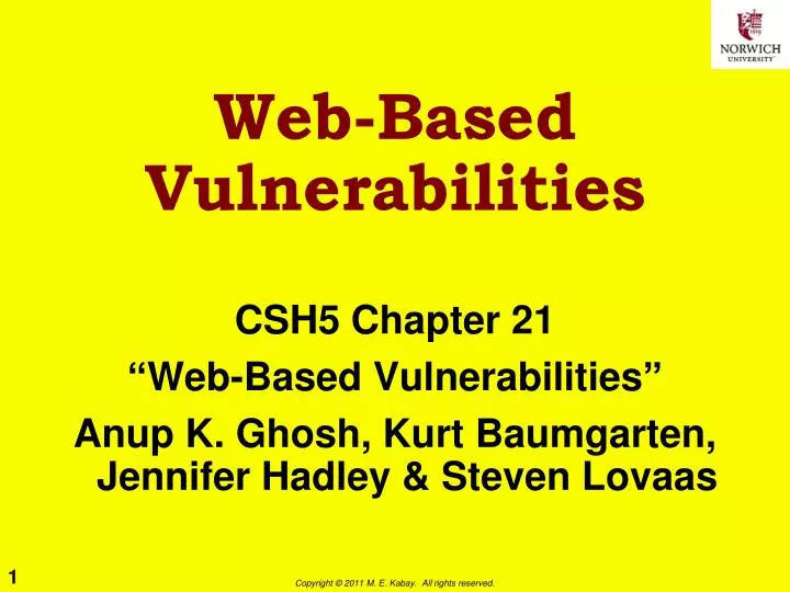 web based vulnerabilities