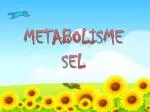 METABOLISME SEL - slide 1