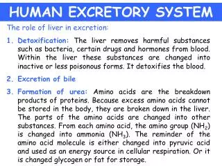 HUMAN EXCRETORY SYSTEM